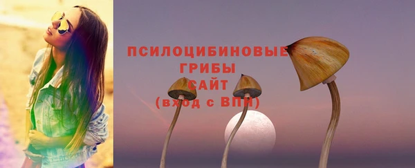 мяу мяу мука Надым