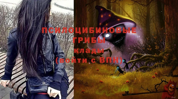стафф Алексеевка