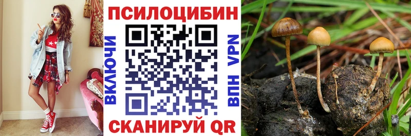 Псилоцибиновые грибы Cubensis MEGA ONION Малоархангельск